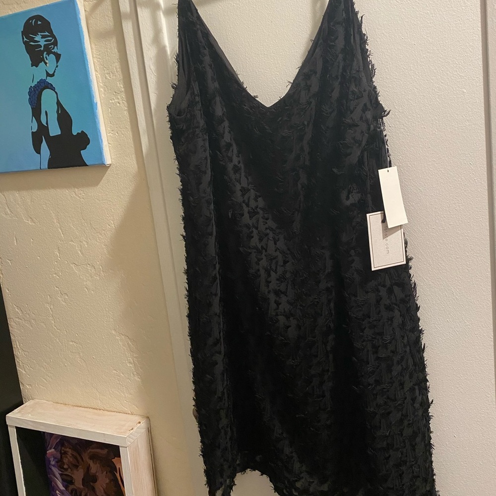 Fringe dress